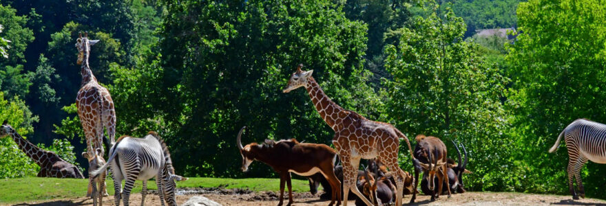 zoo proche lyon